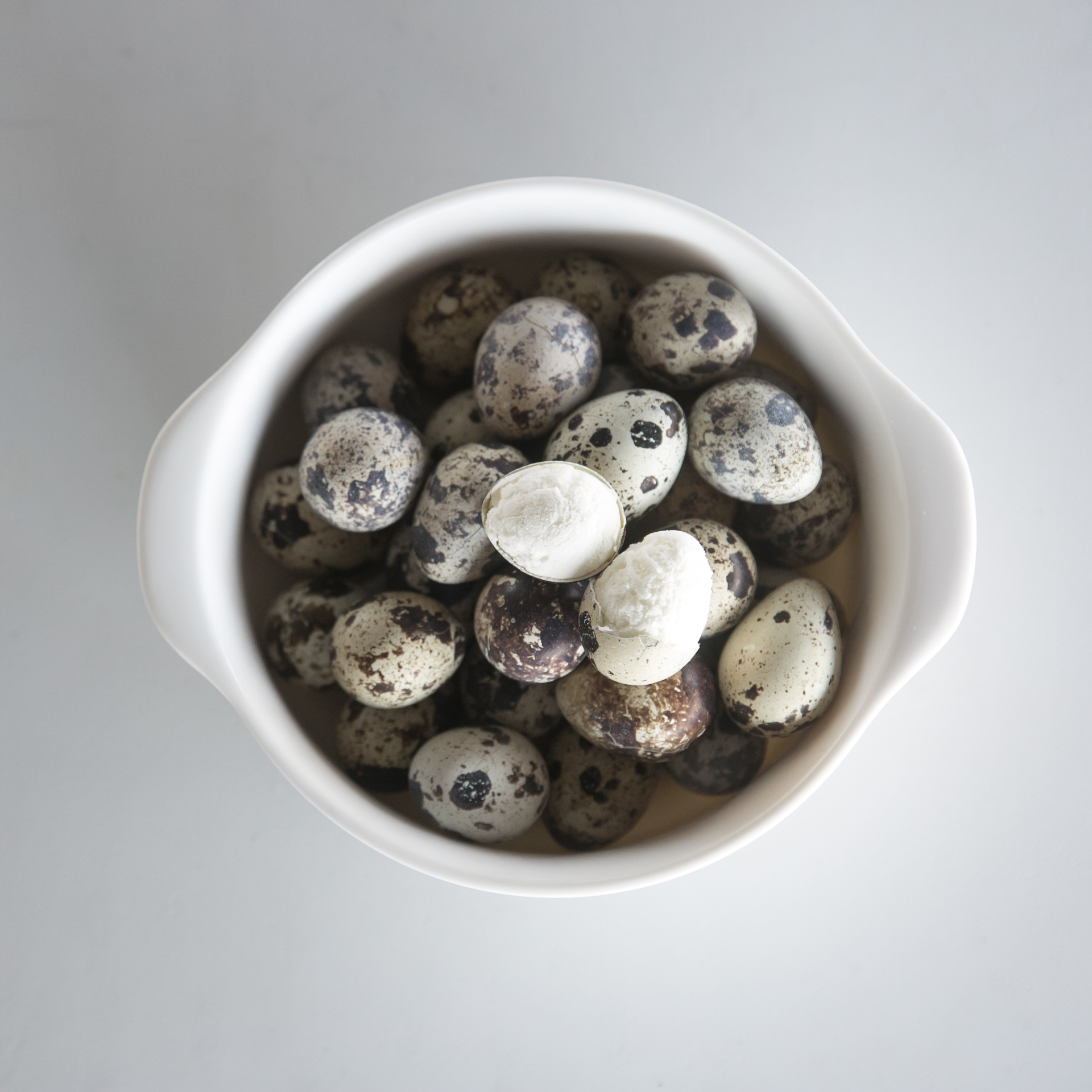 강아지 수제 간식 노견 영양식 사료 토핑 동결 메추리알 20P 1팩