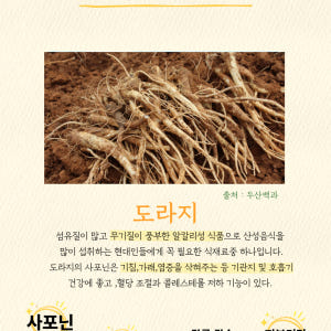국산 약도라지 도라지청 목에좋은 차 약도라지청 500g, 1개 맛있게 먹은 솔직 후기 - 상품 이미지 4