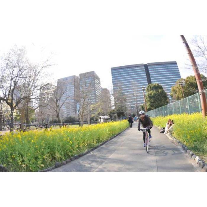 일본 도쿄: 하루 종일 자전거 투어 이미지 4