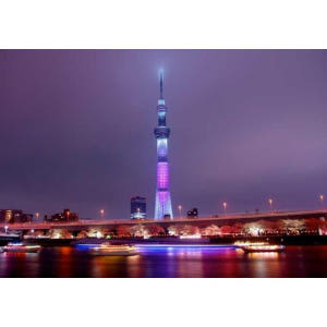 일본 도쿄: 아사쿠사 역사와 문화 식사 체험 솔직 후기 | 실사용자 리뷰 분석 - 상품 이미지 3