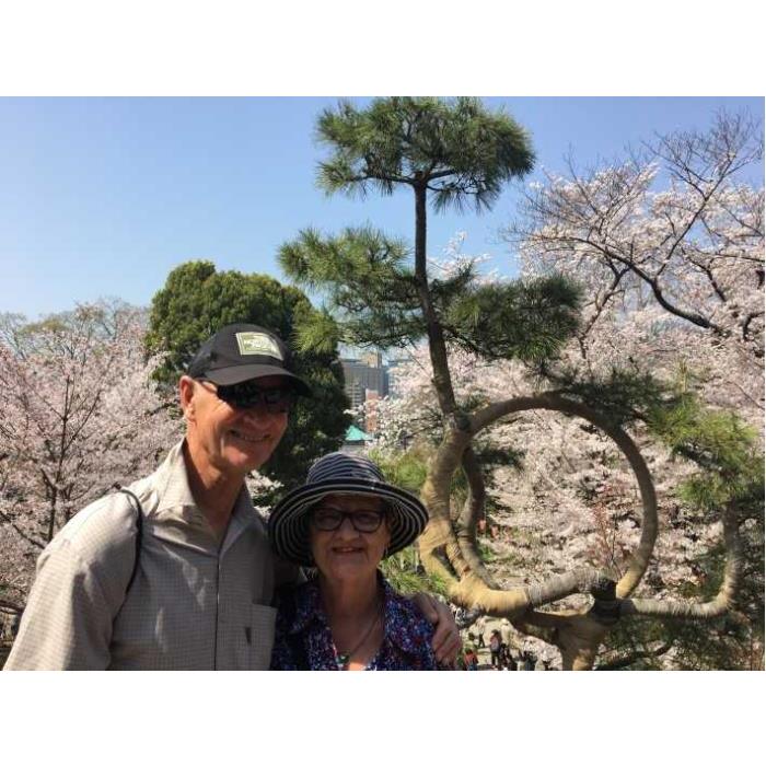 일본 도쿄: 현지 호스트와 함께하는 맞춤형 프라이빗 투어 - 상세 이미지 5