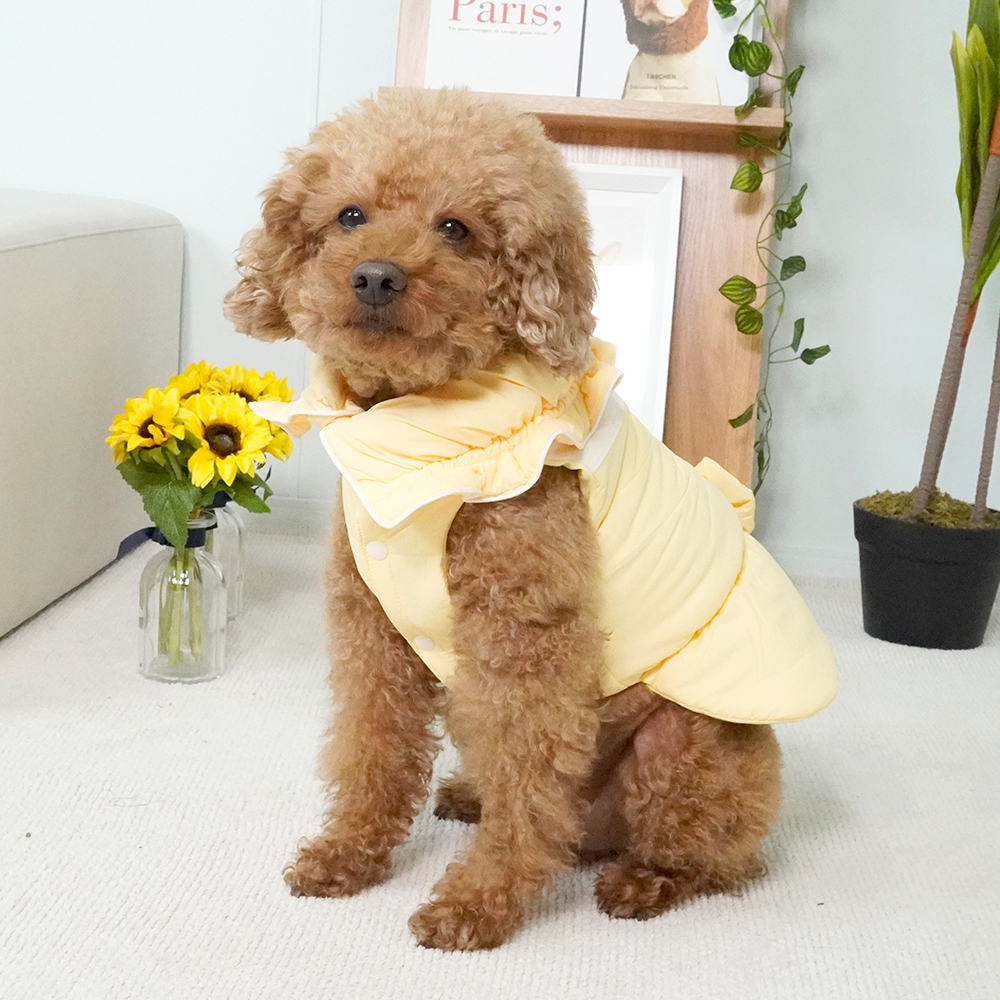 개과천선 솜사탕 패딩 강아지 겨울 잠바 패션 의류 애견 보온 아우터 방풍 리본 레이스 - 메인 이미지