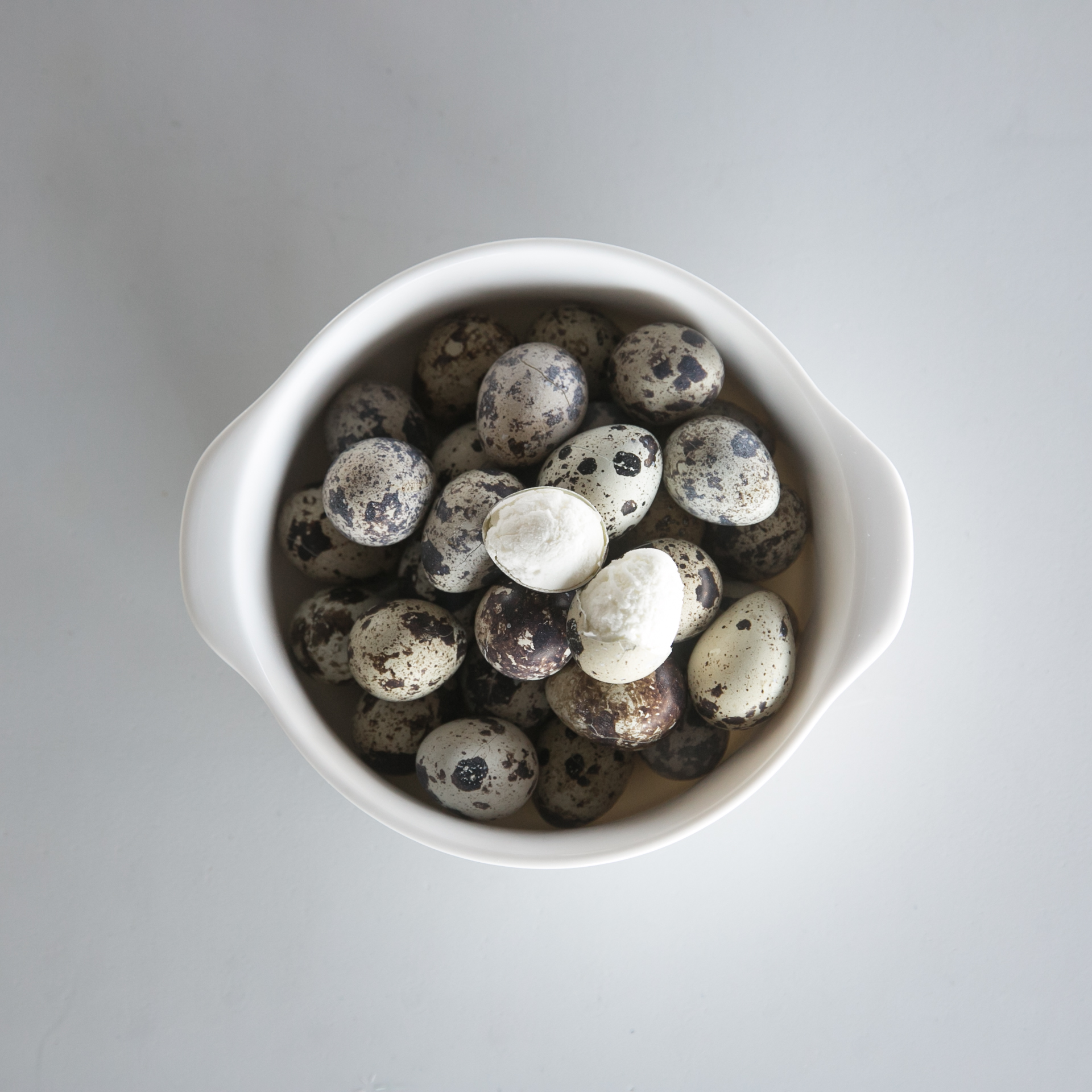 강아지 수제 간식 노견 영양식 사료 토핑 동결 메추리알 20P 1팩