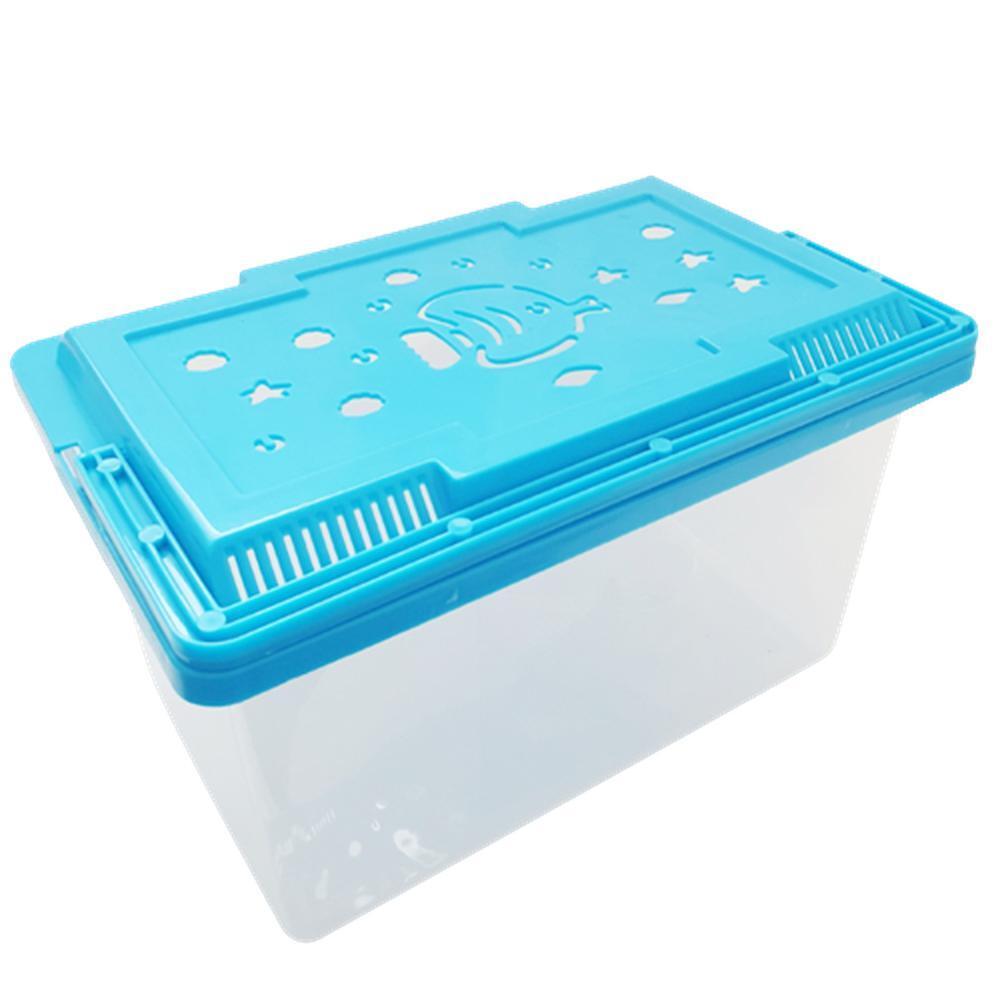 잠자리통 곤충통 개구리통 21.5X14X12 대형