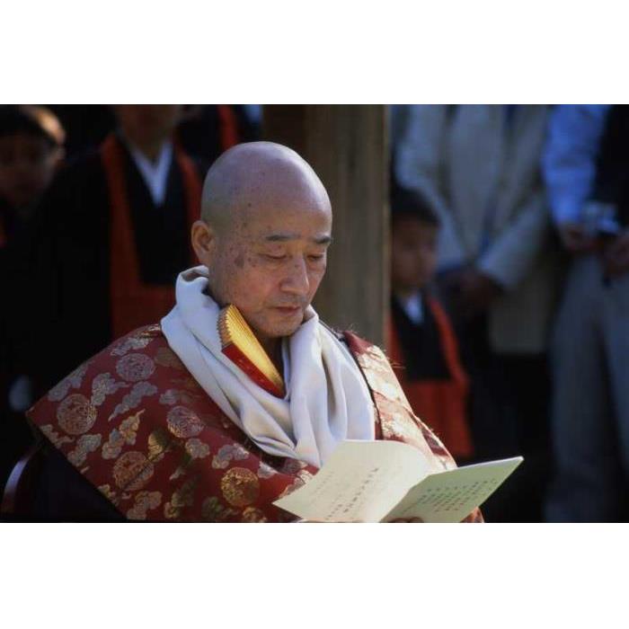 일본 도쿄 전문 사진 작가와 함께하는 도쿄 프라이빗 포토 투어 이미지 2