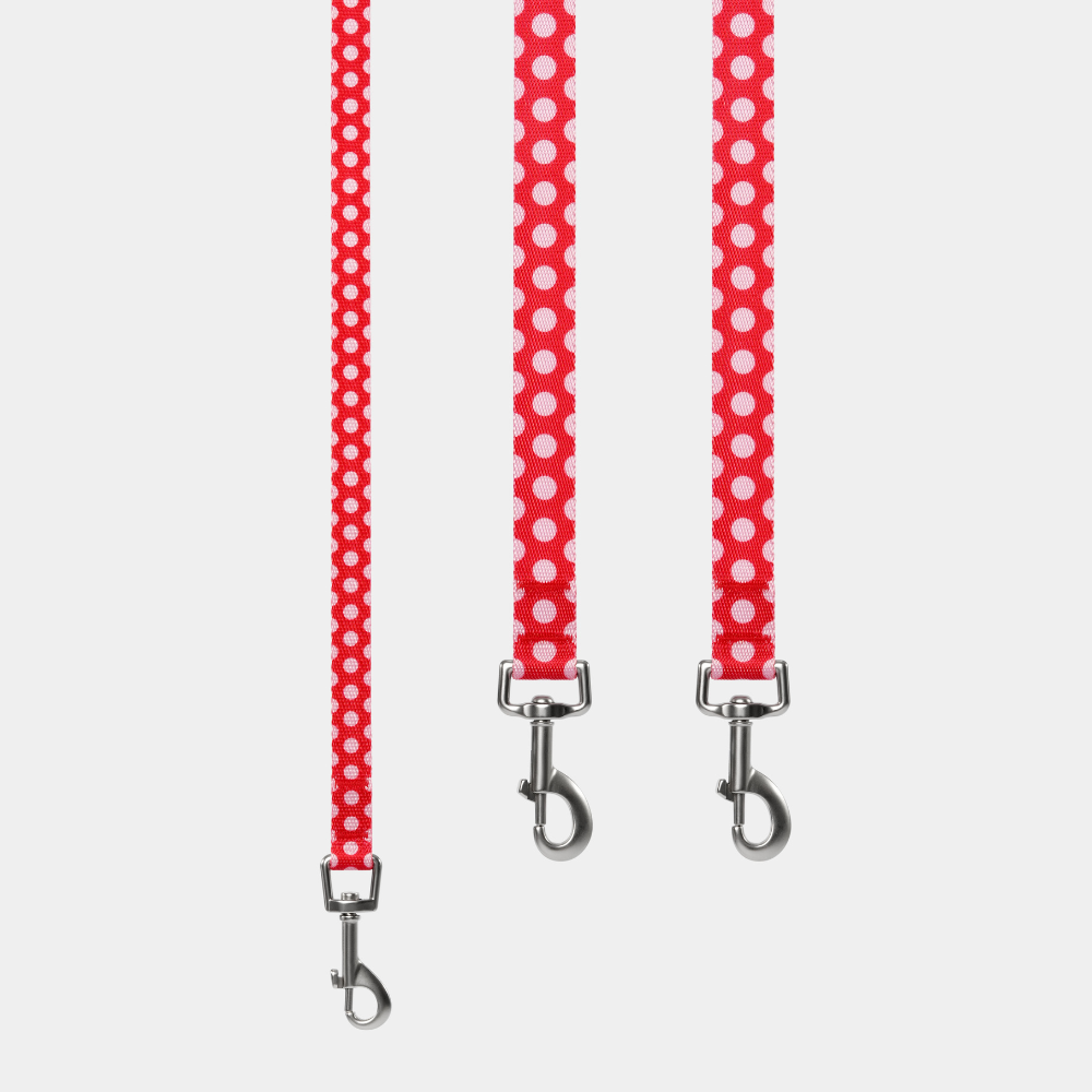 크로마 하네스 소형견 중형견 리드줄 세트