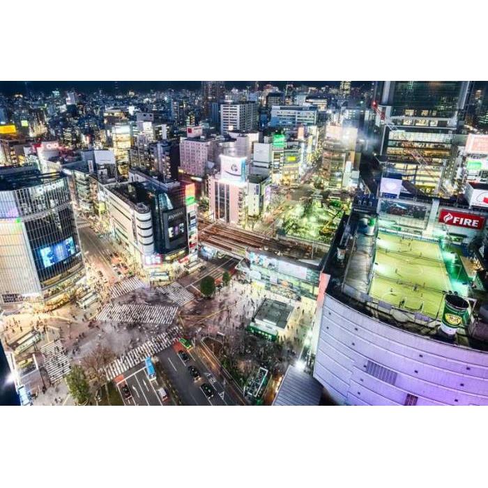 일본 도쿄 전문 사진 작가와 함께하는 도쿄 프라이빗 포토 투어 이미지 4