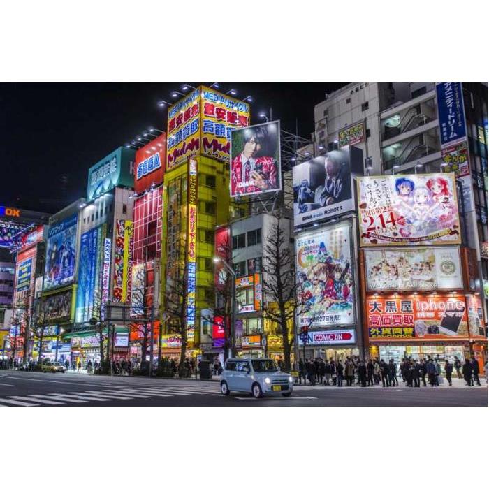 일본 도쿄 전문 사진 작가와 함께하는 도쿄 프라이빗 포토 투어 이미지 3