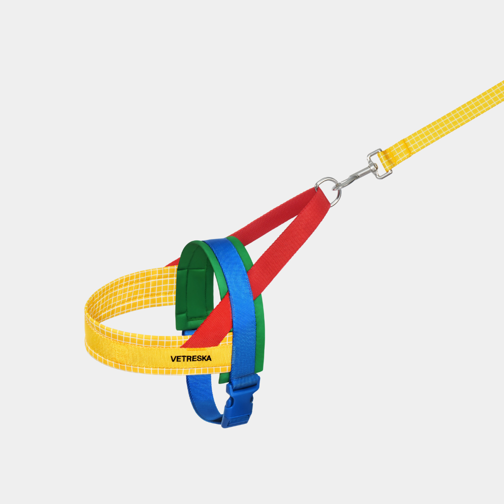 크로마 하네스 소형견 중형견 리드줄 세트