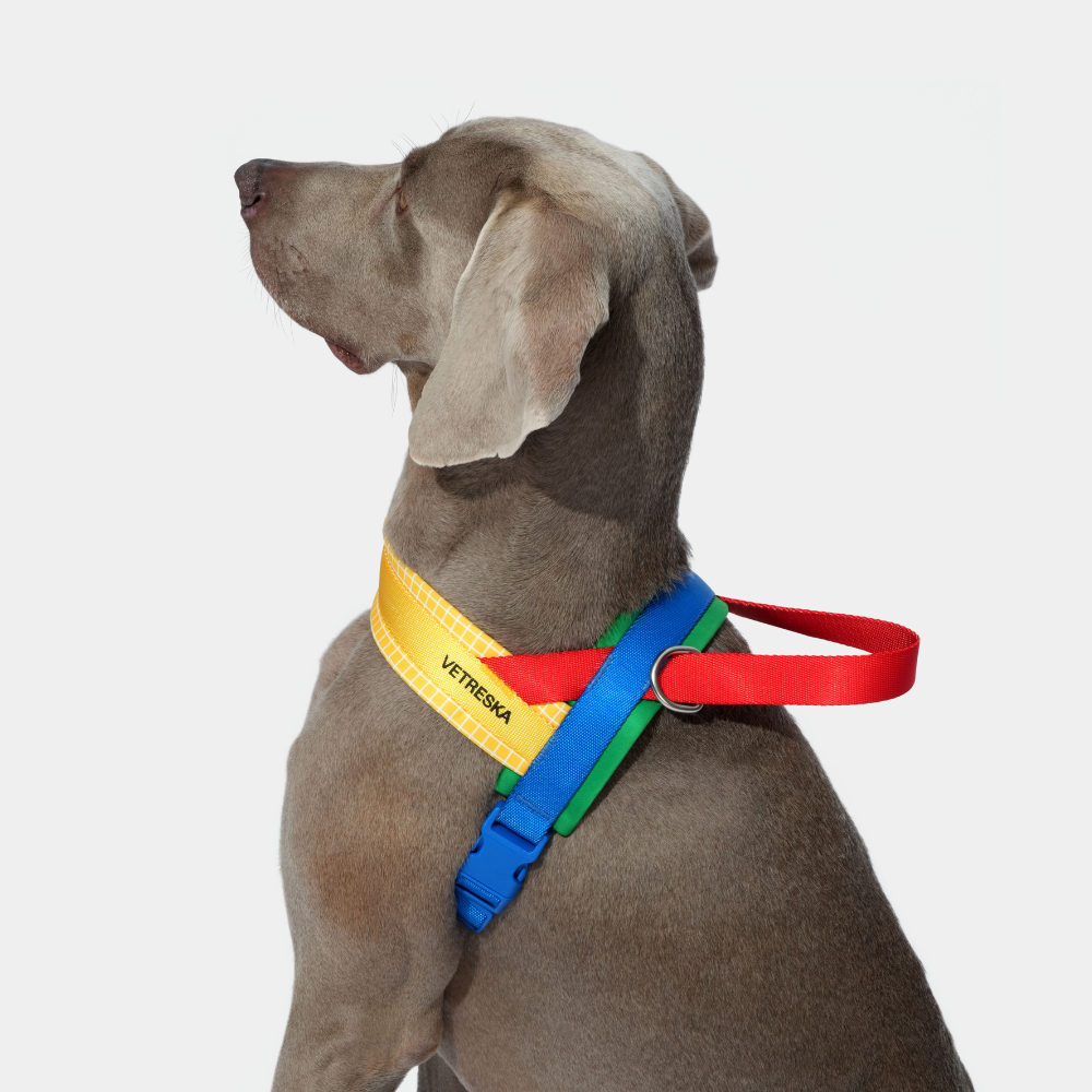 크로마 하네스 소형견 중형견 리드줄 세트