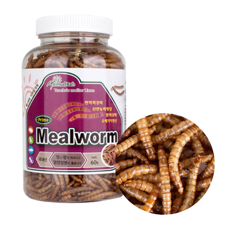 [초록끈] 애니멀밥 프라임 밀웜 60g