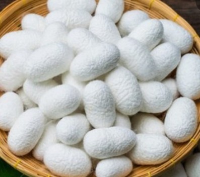 리나나투라 안티크레스포 실크 단백질 이태리 약산성 미용실 볼륨 샴푸 500ml 3개 - 상세 이미지 5