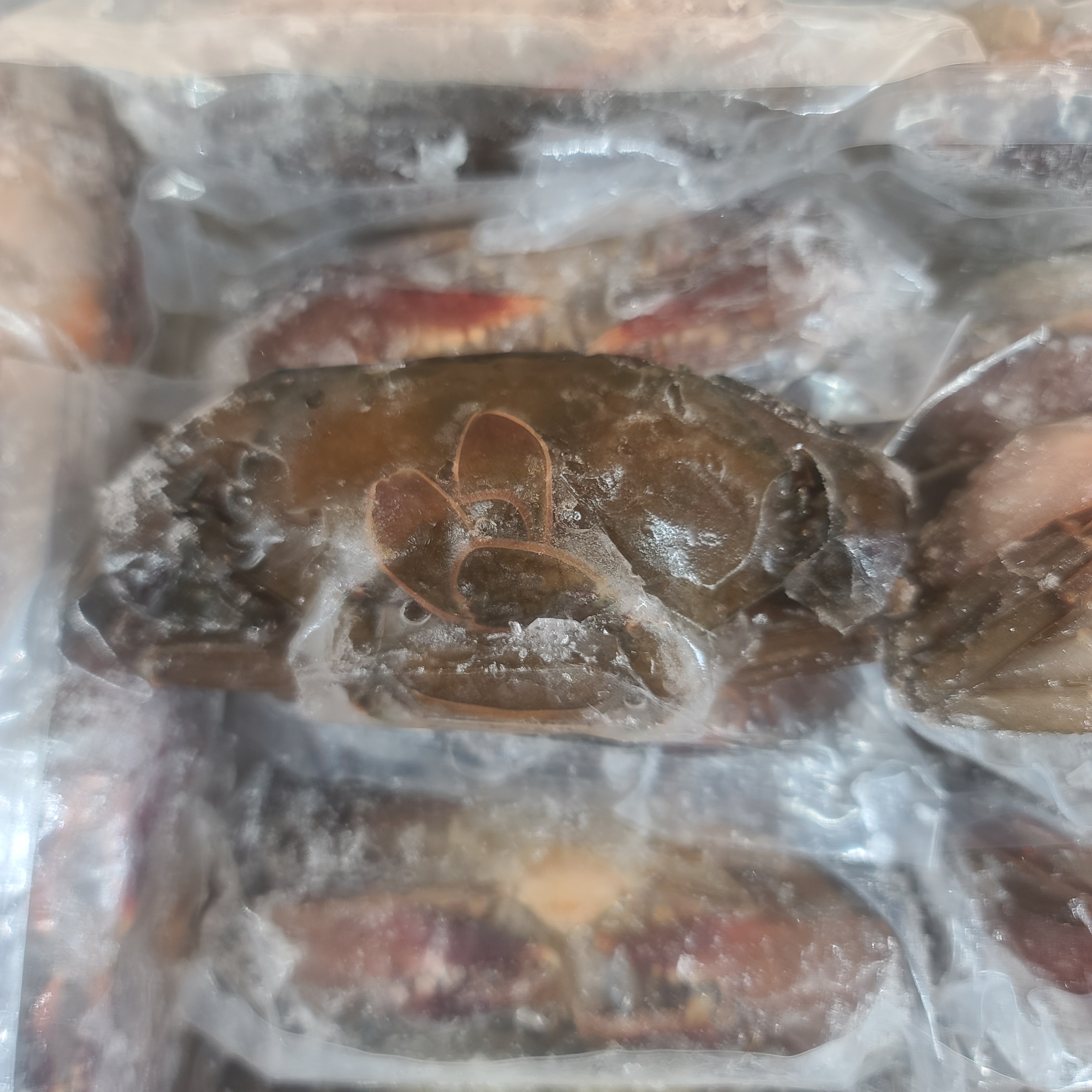 소프트쉘크랩 900g 10미 13미 (껍질얇은 톱날꽃게, 푸팟퐁커리 머드크랩) - 상세 이미지 4