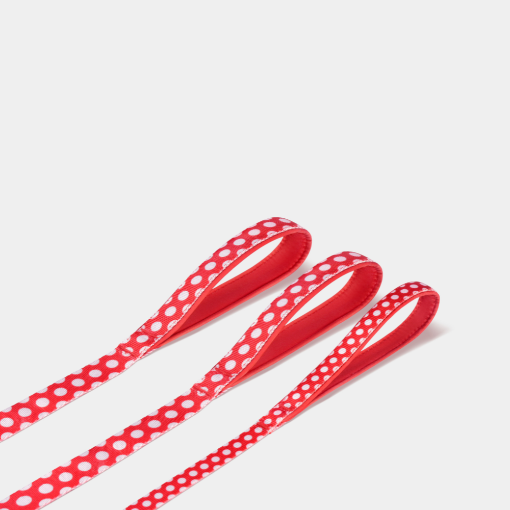 크로마 하네스 소형견 중형견 리드줄 세트