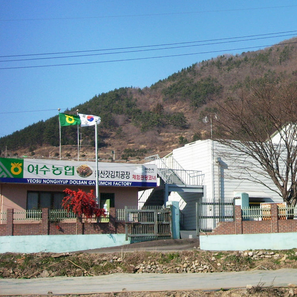 갓김치 식탁 연출