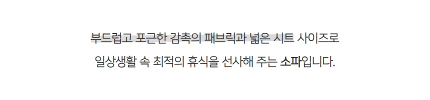 리시오 RICCIO 1인 패브릭 소파 거실 쇼파
