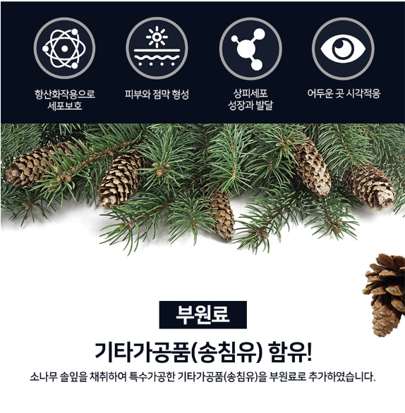 송침유 98% 혈통연세명품 솔잎 액기스 추출물 소나무 기름 솔잎증류농축액 적송유 솔잎유 - 상세 이미지 4