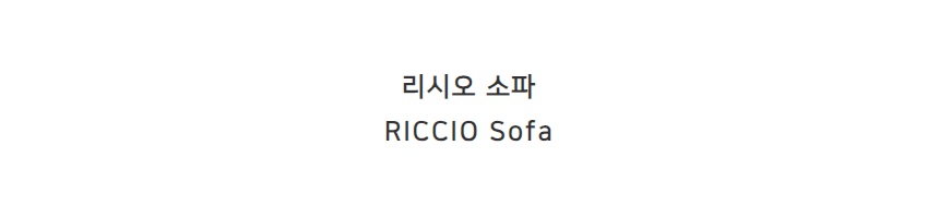 리시오 RICCIO 1인 패브릭 소파 거실 쇼파