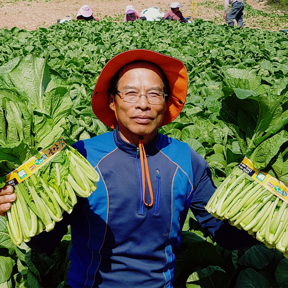 여수 돌산 갓김치 전라도식 국내산 김치 2kg