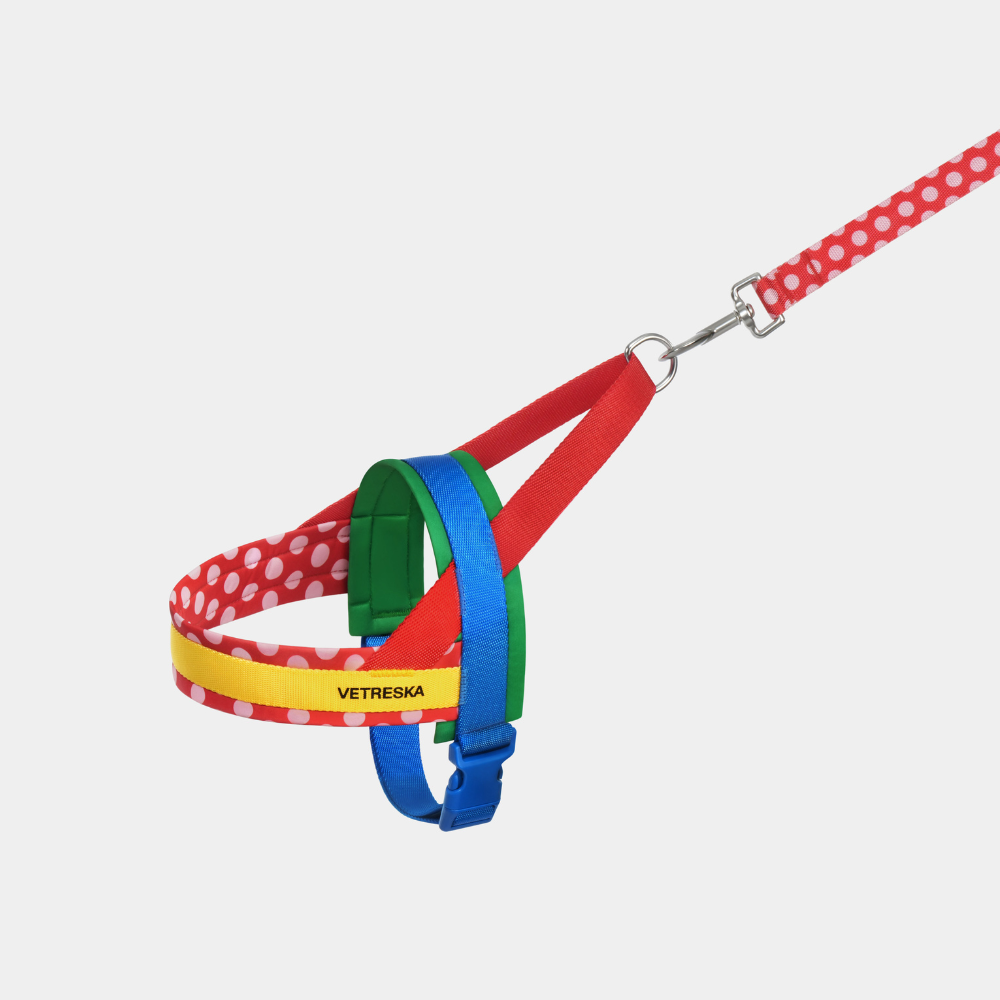 크로마 하네스 소형견 중형견 리드줄 세트