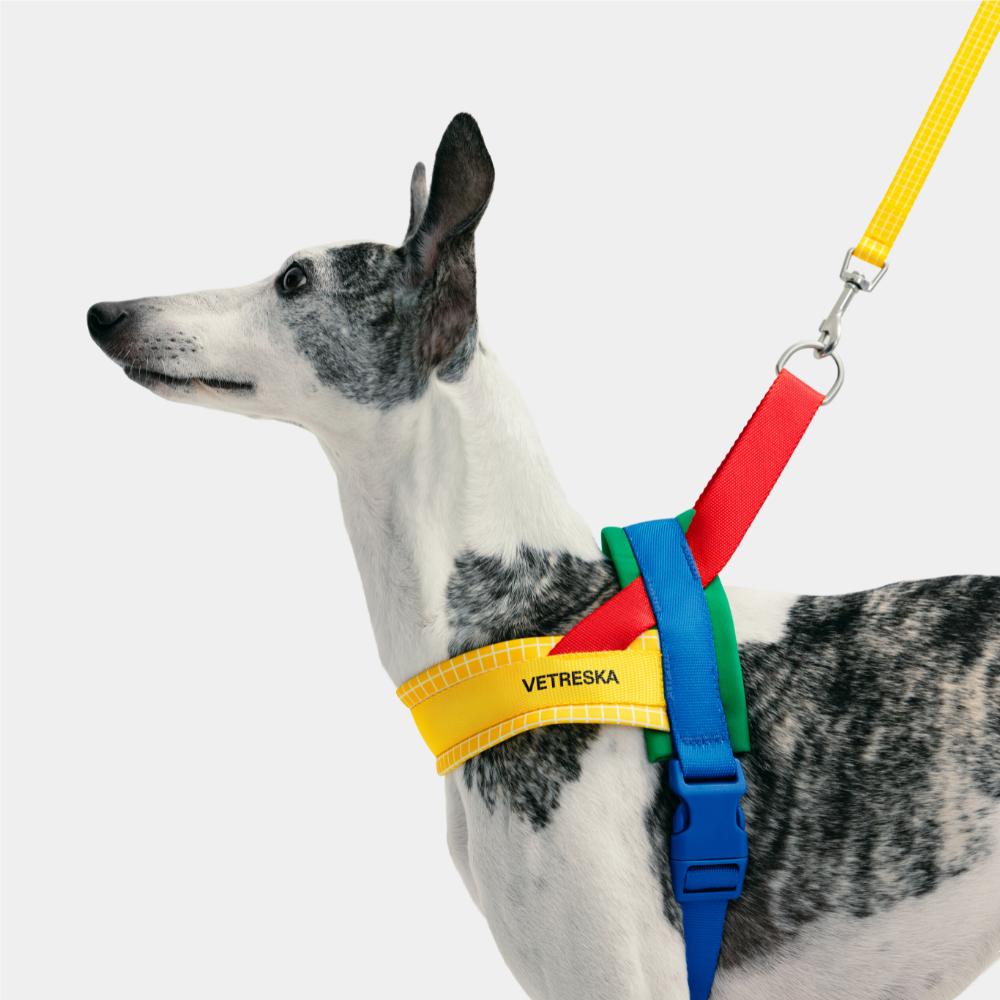 크로마 하네스 소형견 중형견 리드줄 세트