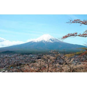 일본 도쿄에서: 후지산 하루 종일 관광 여행 솔직 후기 | 실사용자 리뷰 분석 - 상품 이미지 1