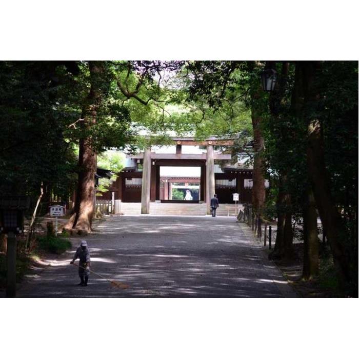 일본 도쿄: 개인 맞춤형 6시간 투어 이미지 2