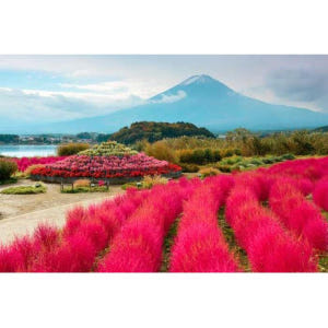 일본 도쿄에서: 후지산 하루 종일 관광 여행 솔직 후기 | 실사용자 리뷰 분석 - 상품 이미지 3