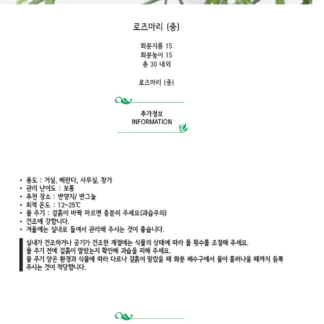 베란다 사무실 거실 화초 거실용 실내 화초 봄 겨울 화초 - 상세 이미지 2