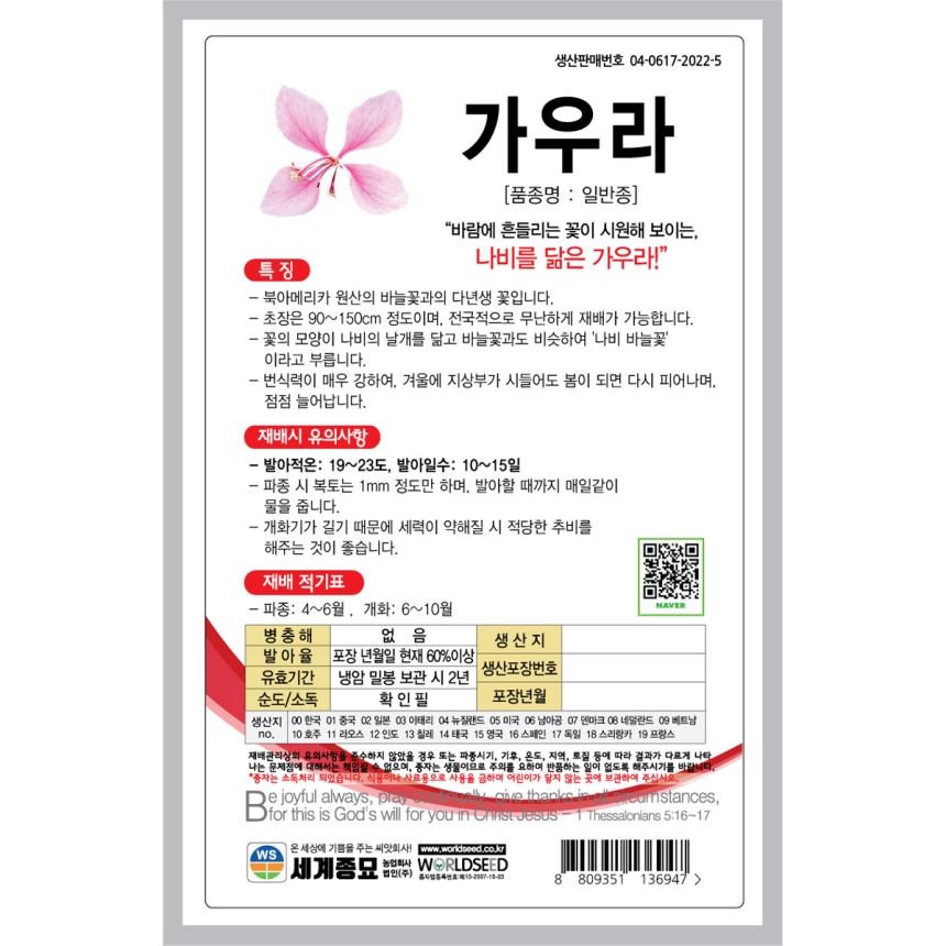 가우라 씨앗 100립 가우라꽃 씨 종자 3월 4월 봄 파종 꽃 키우기 - 상세 이미지 2