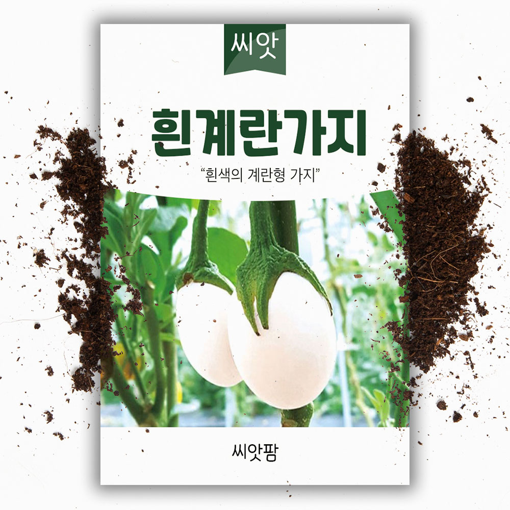 흰계란 가지씨앗 종자 50립 관상용 식용 가지 - 상품 이미지