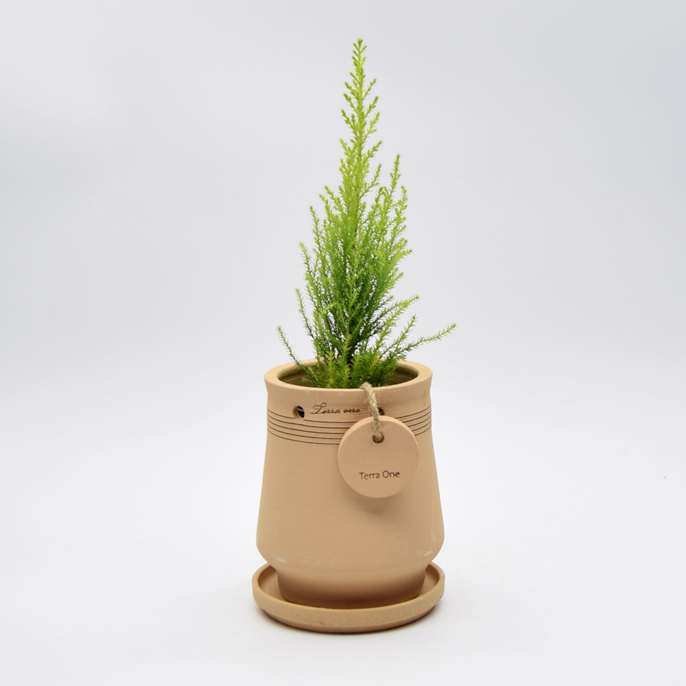테라원 내열토 수제 토분 토투스 행잉 12x16cm - 메인 이미지