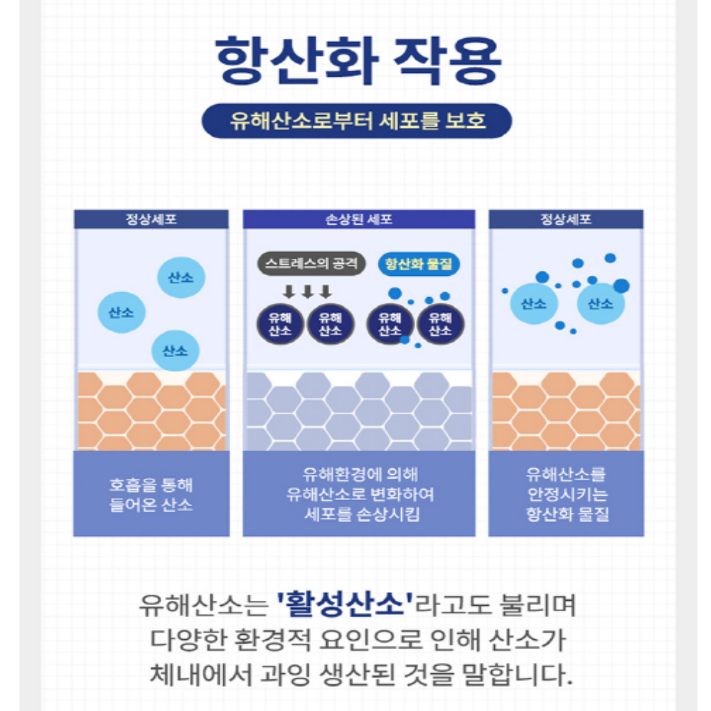 엔젯오리진 뉴질랜드 작은알약 미니캡슐 프로폴리스 플라보노이드 이미지 8