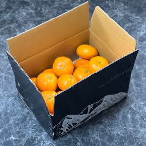 유통하맨x파머들 제주 레드향 꼬마 대과 제수용 1kg 3kg 5kg 10... 맛있게 먹은 솔직 후기 - 상품 이미지 4