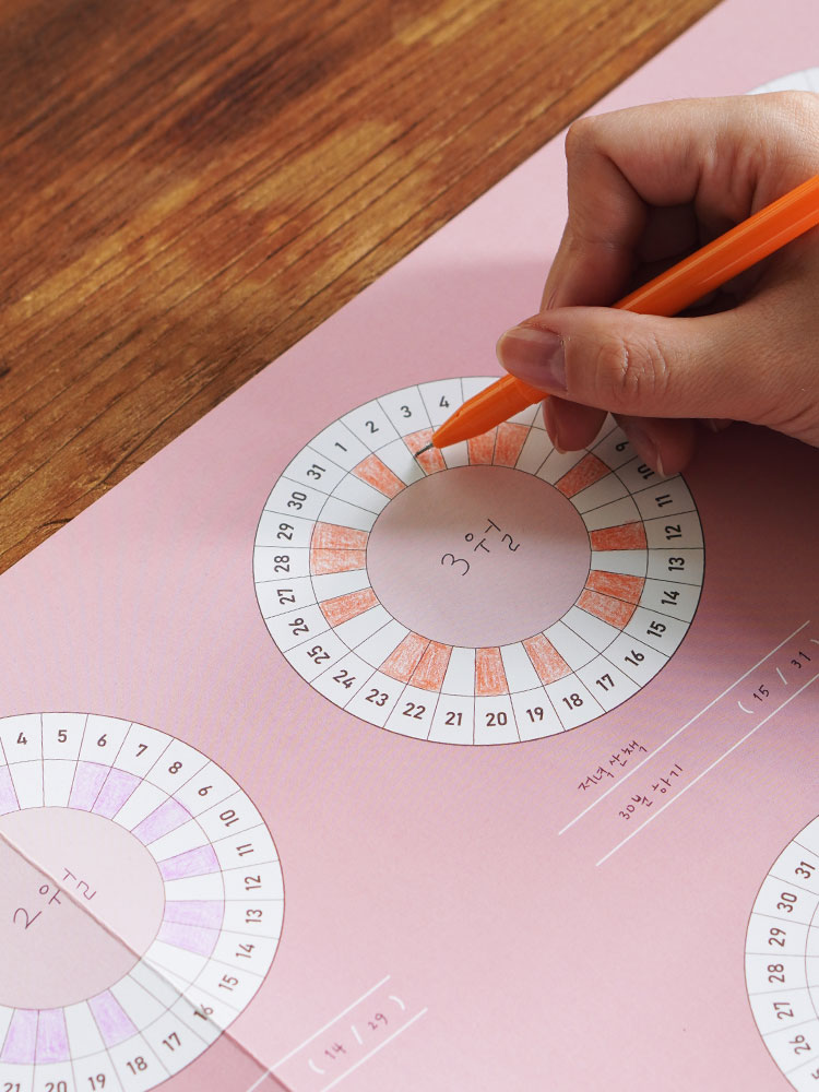 작심일년 한장계획표 만년달력 낱장켈린더 카렌다 연력 벽 큰포스터