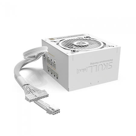 NEWZEN SKULL 850SM MODULAR ATX 3.0 80PLUS GOLD WHITE (PCIE5) 품위
