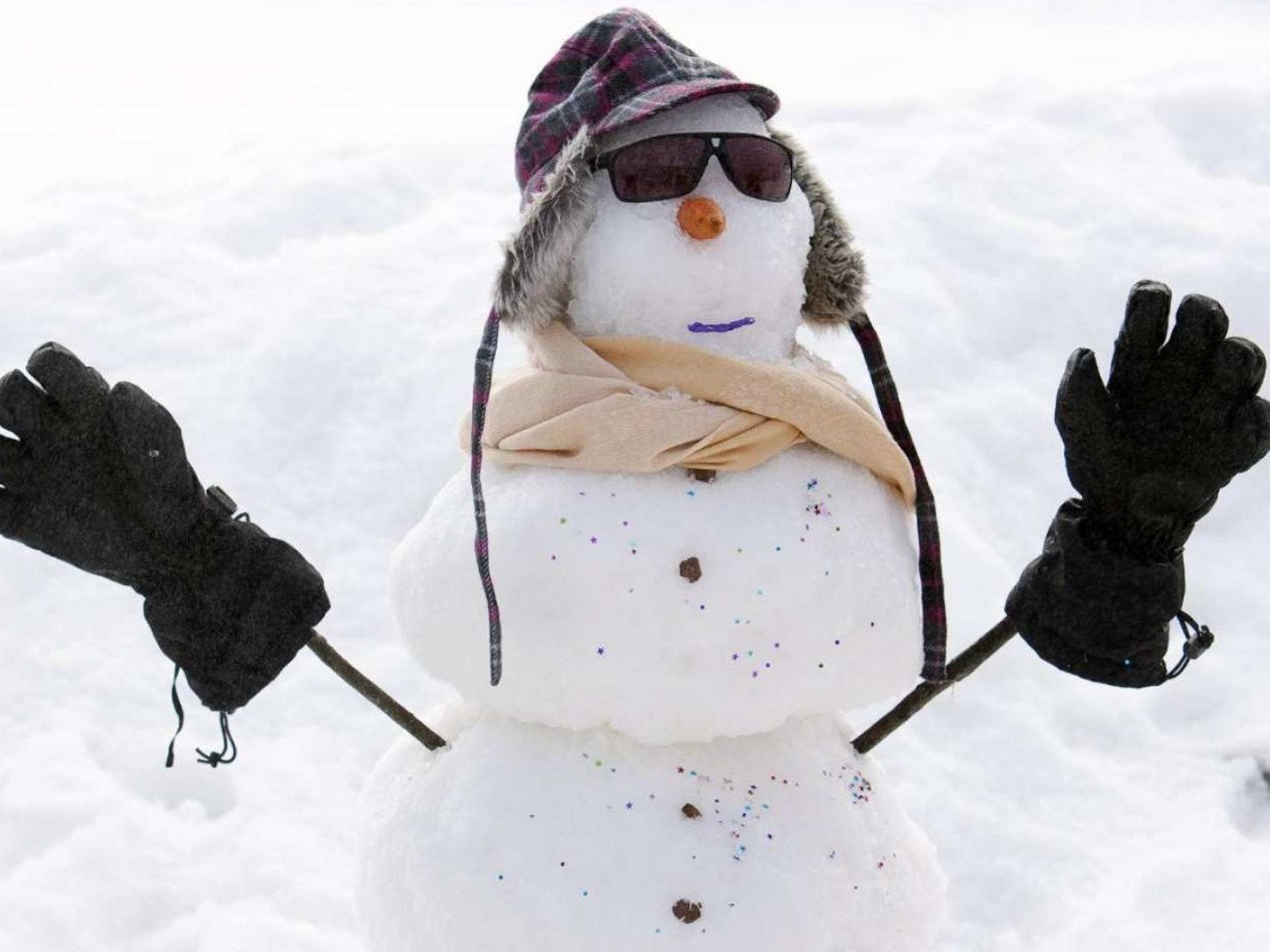 호주 멜버른에서 출발하는 호수 산 눈 & 폭포 일일 투어 | 빅토리아 이미지 7
