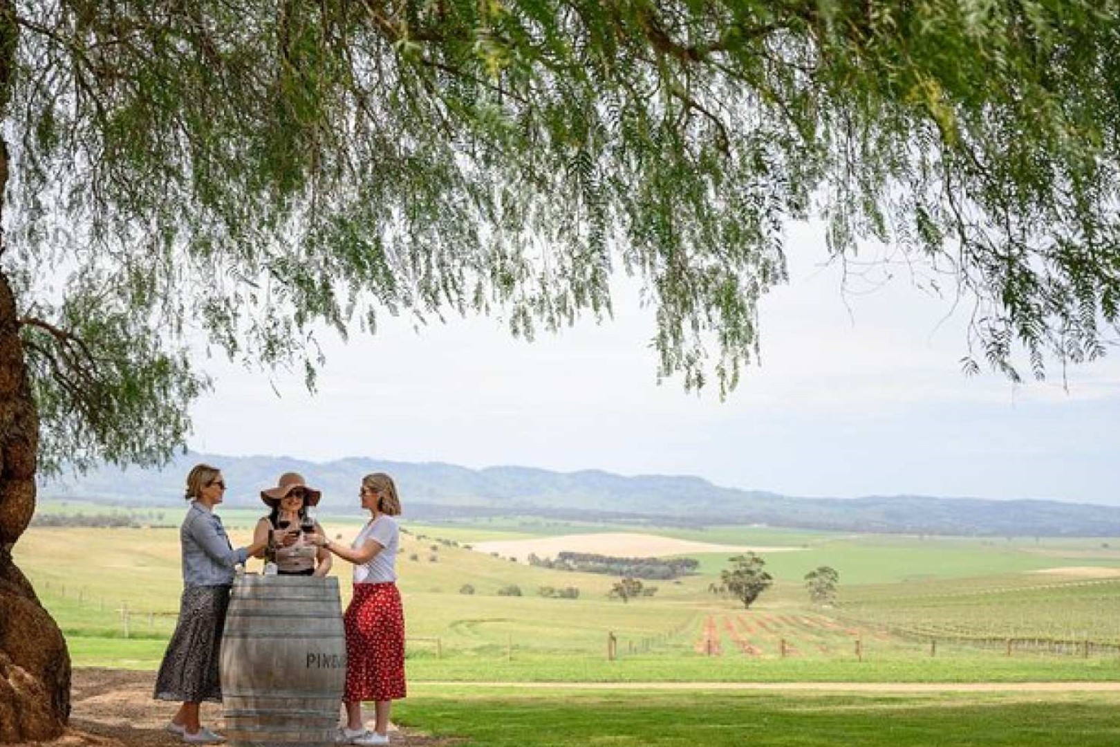 호주 애들레이드 출발 바로사 밸리 음식 및 와인 일일 투어 | 남호주 이미지 3