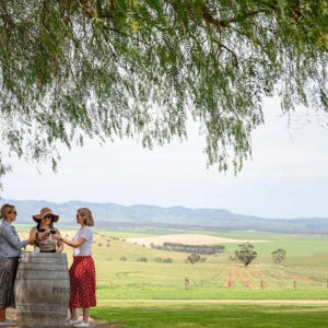 호주 애들레이드 출발 바로사 밸리 음식 및 와인 일일 투어 | 남호주 솔직 후기 | 실사용자 리뷰 분석 - 상품 이미지 3