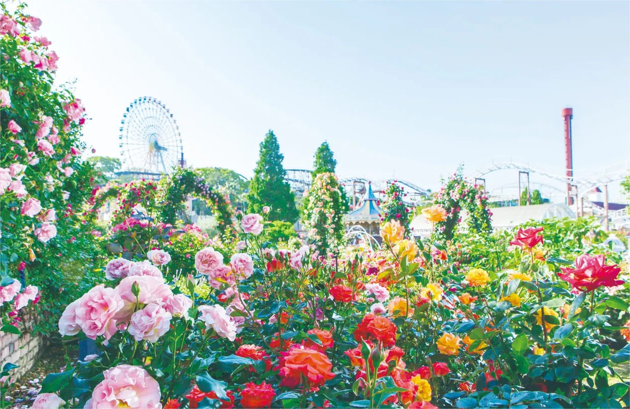일본 오사카 히라카타 파크 이용권 - 상품 이미지