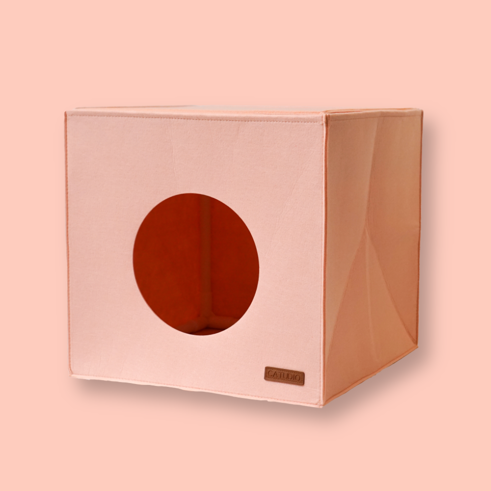 캣튜디오 고양이 숨숨집 큐브치즈 펠트 하우스