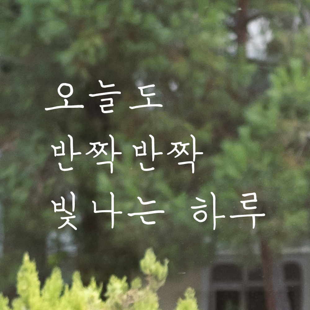 손글씨 레터링 스티커 오늘도 반짝반짝 빛나는 하루 LH-034S검정 이미지 6