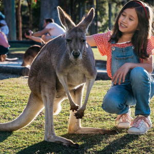 호주 골드코스트 파라다이스 농장 마술공연 입장권 솔직 후기 | 실사용자 리뷰 분석 - 상품 이미지 1
