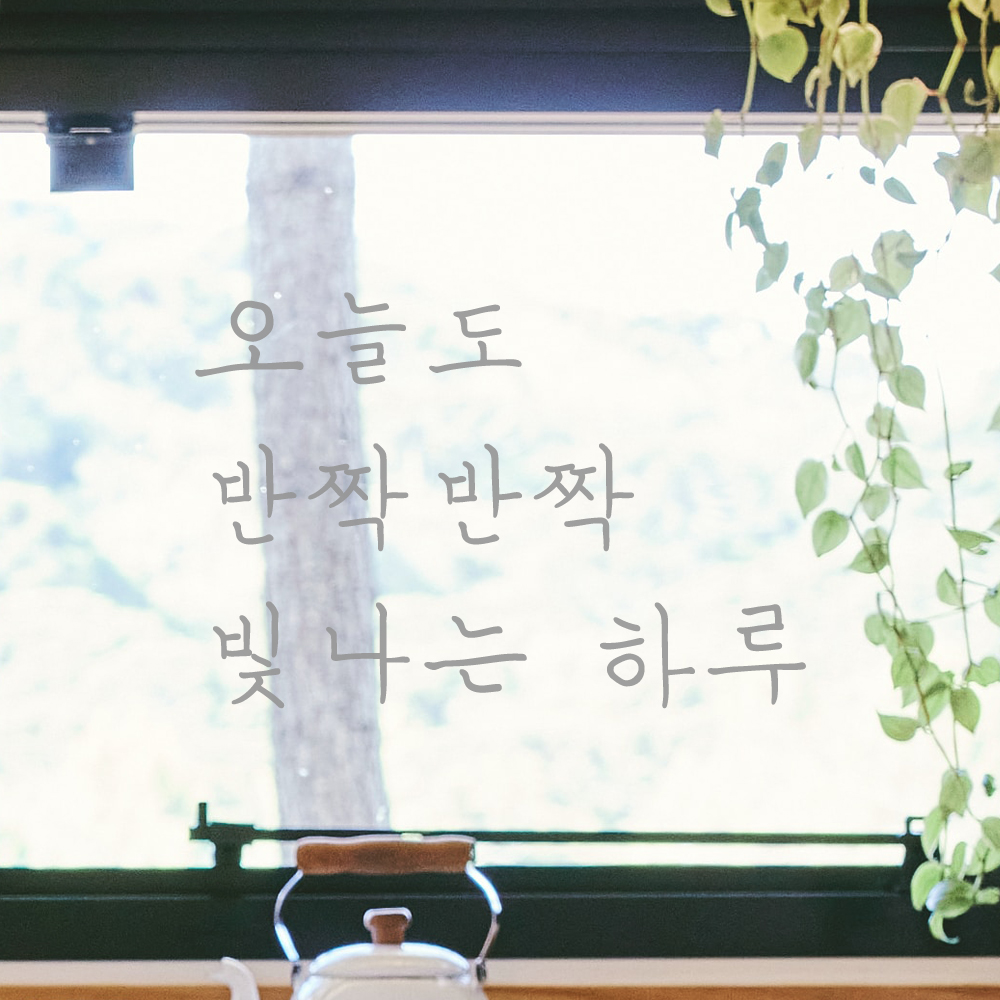 손글씨 레터링 스티커 오늘도 반짝반짝 빛나는 하루 LH-034S검정 이미지 8