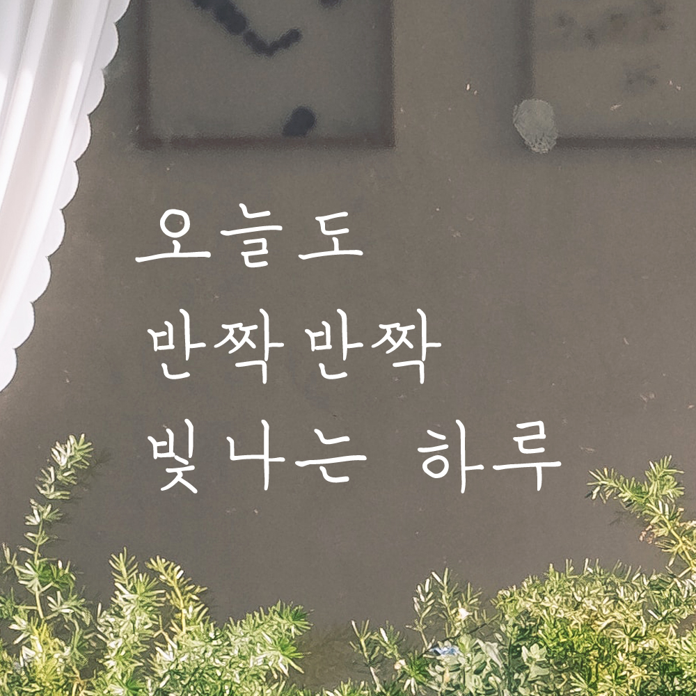 감성 손글씨 레터링 스티커 오늘도 반짝반짝 빛나는 하루 LH-034S 검정 이미지 7