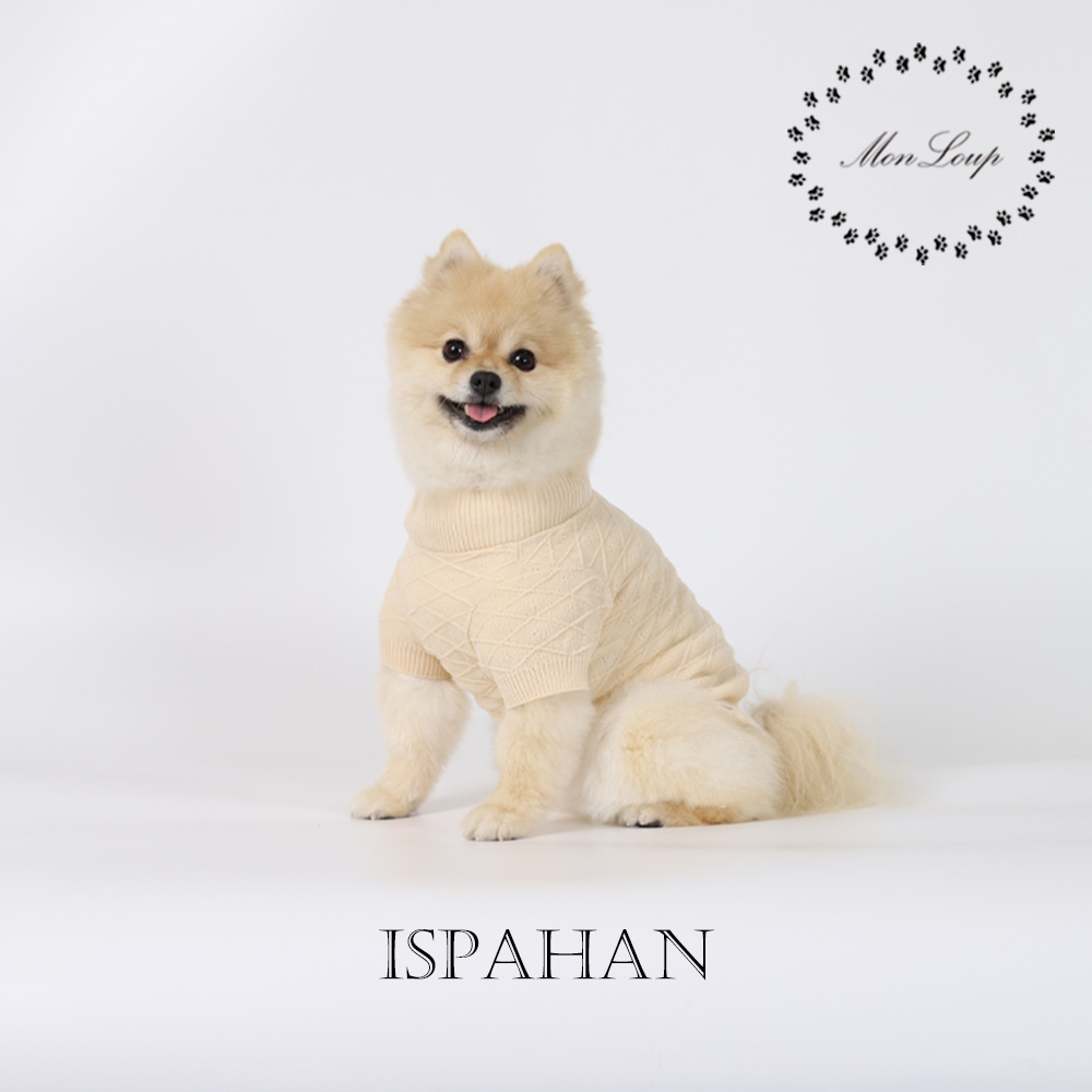 강아지옷 몽루 이스파한(ISPAHAN)