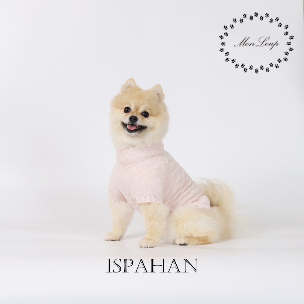 강아지옷 몽루 이스파한(ISPAHAN)