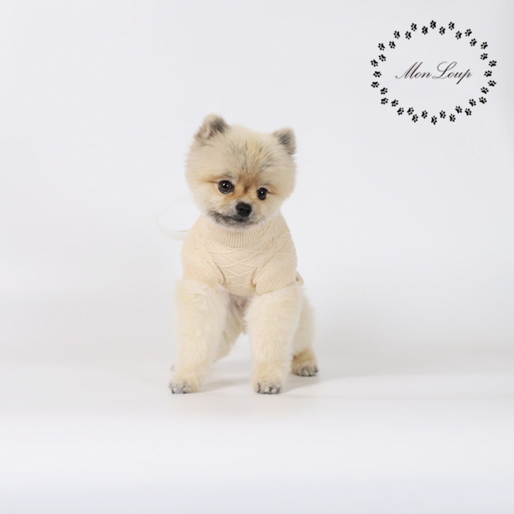 강아지옷 몽루 이스파한(ISPAHAN)