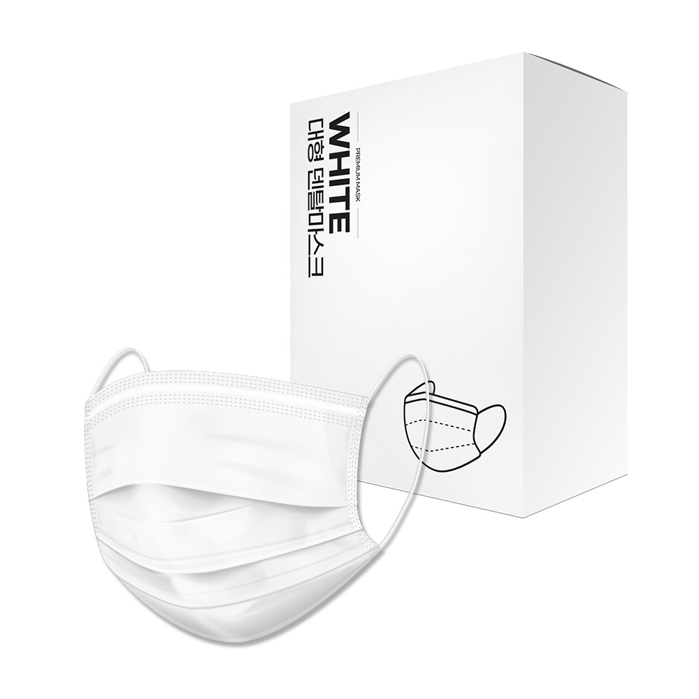 PWX 대형 덴탈마스크 화이트 200매입