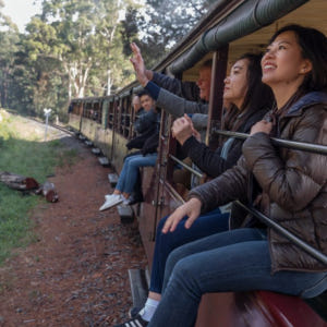 호주 멜버른  퍼핑 빌리 & 펭귄 야생동물 일일 투어 솔직 후기 | 실사용자 리뷰 분석 - 상품 이미지 2